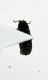 DSCN5957.JPG