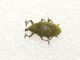 20140320_062842.jpg