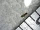 IMG-20140320-WA0002.jpg