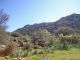06dorgali.JPG