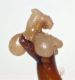 Pygopleurus-vulpes-endofallo-lat.jpg