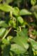 DSC05543sm.jpg