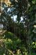 DSC05575sm.jpg