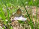IMG_0057 - Copia.JPG