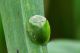 DSC_1693.jpg