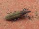 DSC069141.jpg