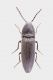 2014-04-21-14.45.10-ZS-PMax-come-oggetto-avanzato-1.jpg