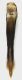 Anthaxia_suzannae_Formello_26-IV-2014_edeago_2,1mm_grey.jpg