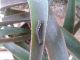 20140501_155804.jpg