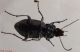 DSCF4845.JPG