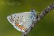 IMG_4380-1.JPG