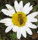 Turchia - Maggio 2014 080.JPG