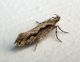 P1040120 (26-4-14 Zaragoza).jpg