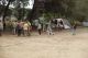 Bioblitz_SanFelice_2014_6.JPG
