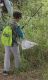 Bioblitz_SanFelice_2014_11.JPG