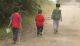 Bioblitz_SanFelice_2014_4.JPG