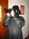 DSCN6231.JPG