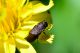 DSC_3224 lr.jpg