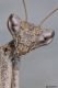 DSC_6752a.jpg