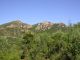 DSCN7078.JPG