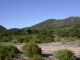 DSCN7085.JPG