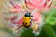 DSC_3586 copialr.jpg