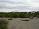 DSCN7228.JPG
