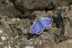 IMG_6274b.jpg
