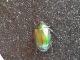IMG-20140608-WA0002.jpg