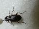 20140612_215651.jpg