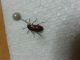 20140612_215231.jpg