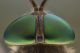 14-06-2014_160-14-06-2014_191.jpg