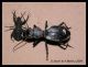 DSCN0057.jpg
