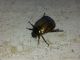 20140621_172223.jpg