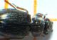 FILE0400.JPG