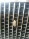 IMG-20140624-WA0001.jpg