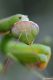 DSC_6806a.jpg