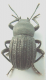DSCF0642.png