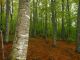 tn_DSCN1610.JPG