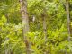 tn_DSCN1615.JPG