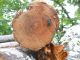 tn_DSCN1620.JPG