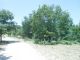 tn_DSCN1701.JPG