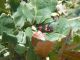 tn_DSCN1704.JPG