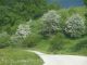 tn_DSCN1742.JPG