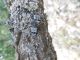 tn_DSCN1765.JPG