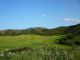 P1000516.JPG