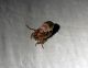 DSCN3485.JPG