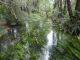 DSC04261.JPG
