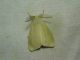 DSC04264.JPG