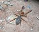 DSCN3678.JPG